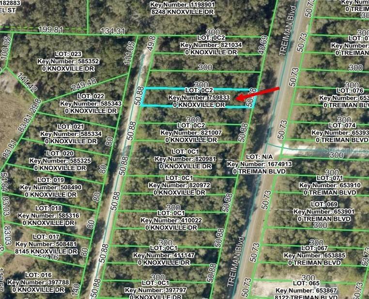 Knoxville Dr., Webster, FL 33597