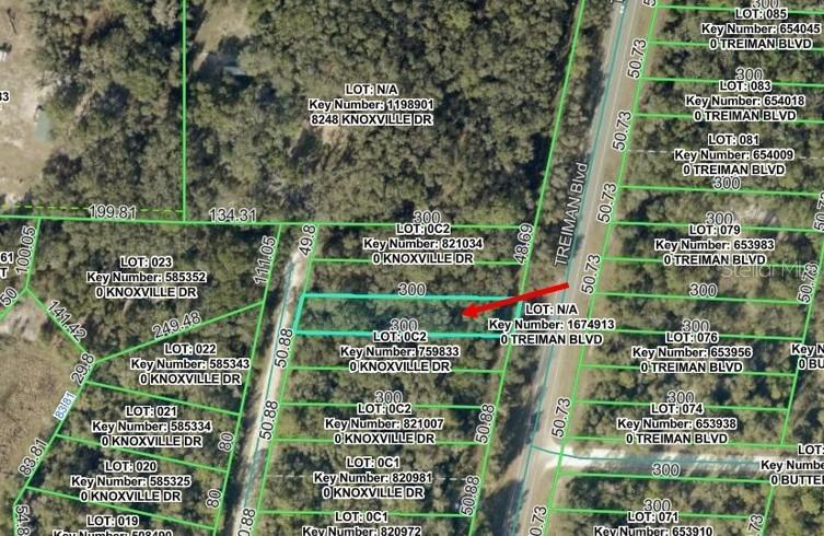 Knoxville Dr., Webster, FL 33597