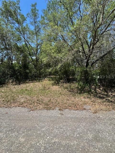 8681 N Catapane Loop, Crystal River, FL 34428