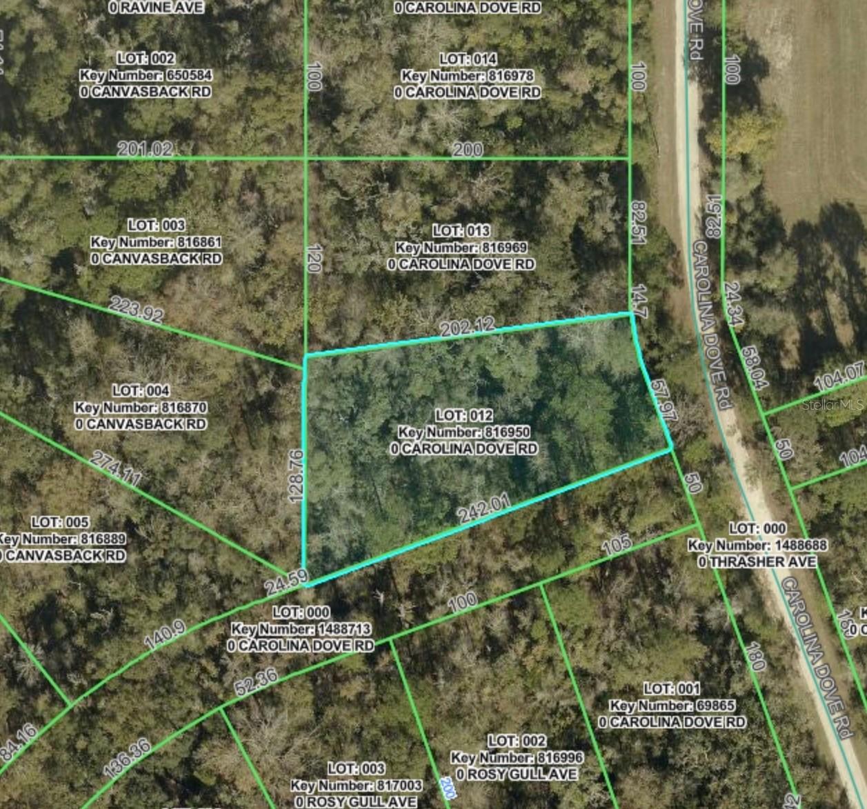 Lot 12 Carolina Dove Rd., Brooksville, FL 34614