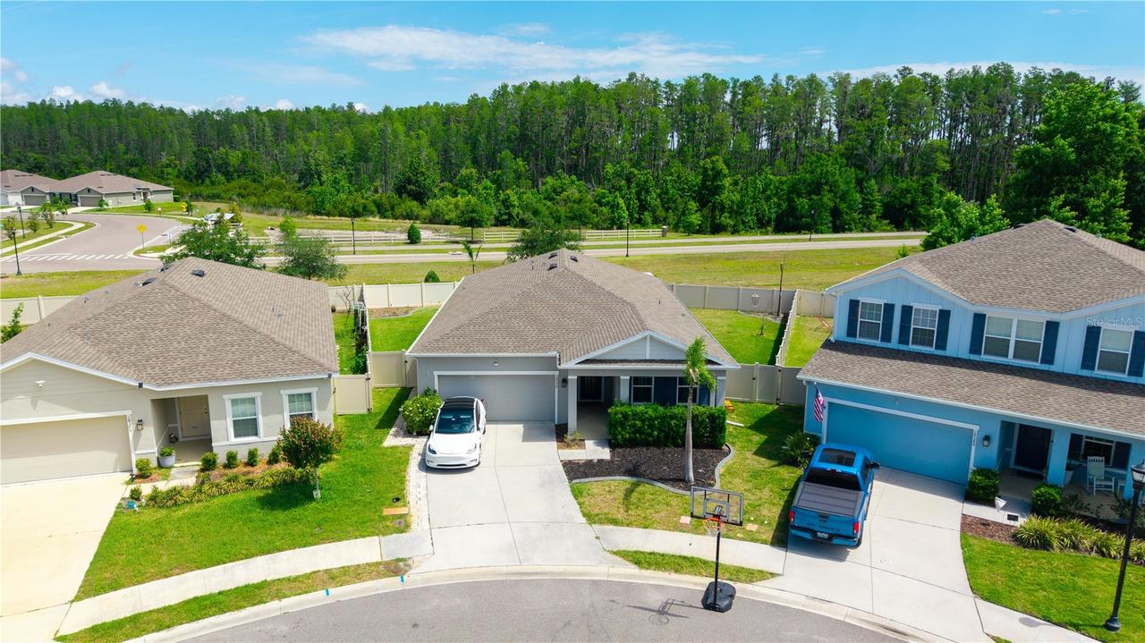 18379 Falling Pine Needle Ln., Land O Lakes, FL 34638