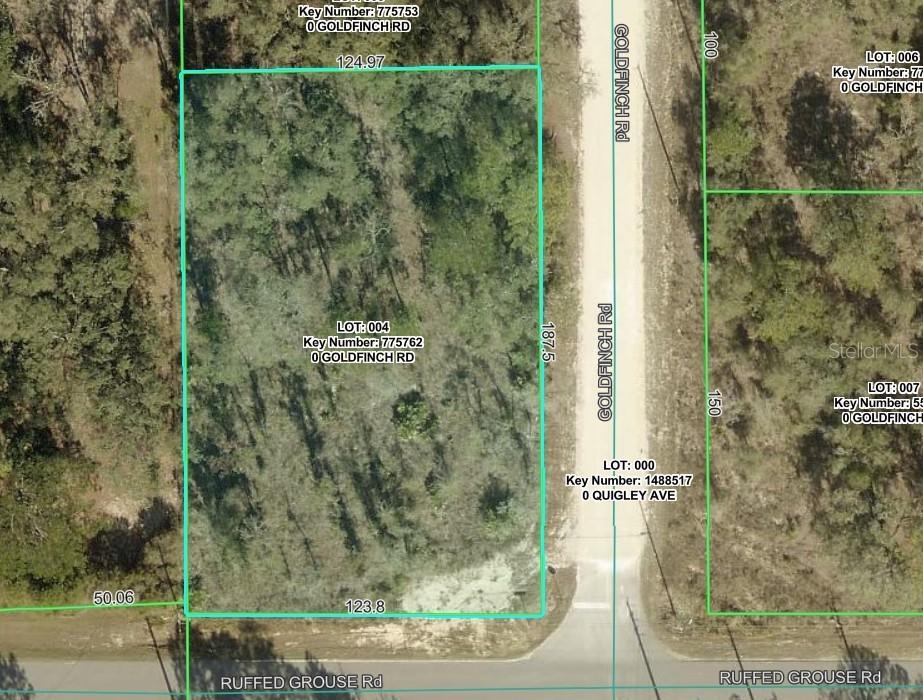 Goldfinch Rd., Weeki Wachee, FL 34614