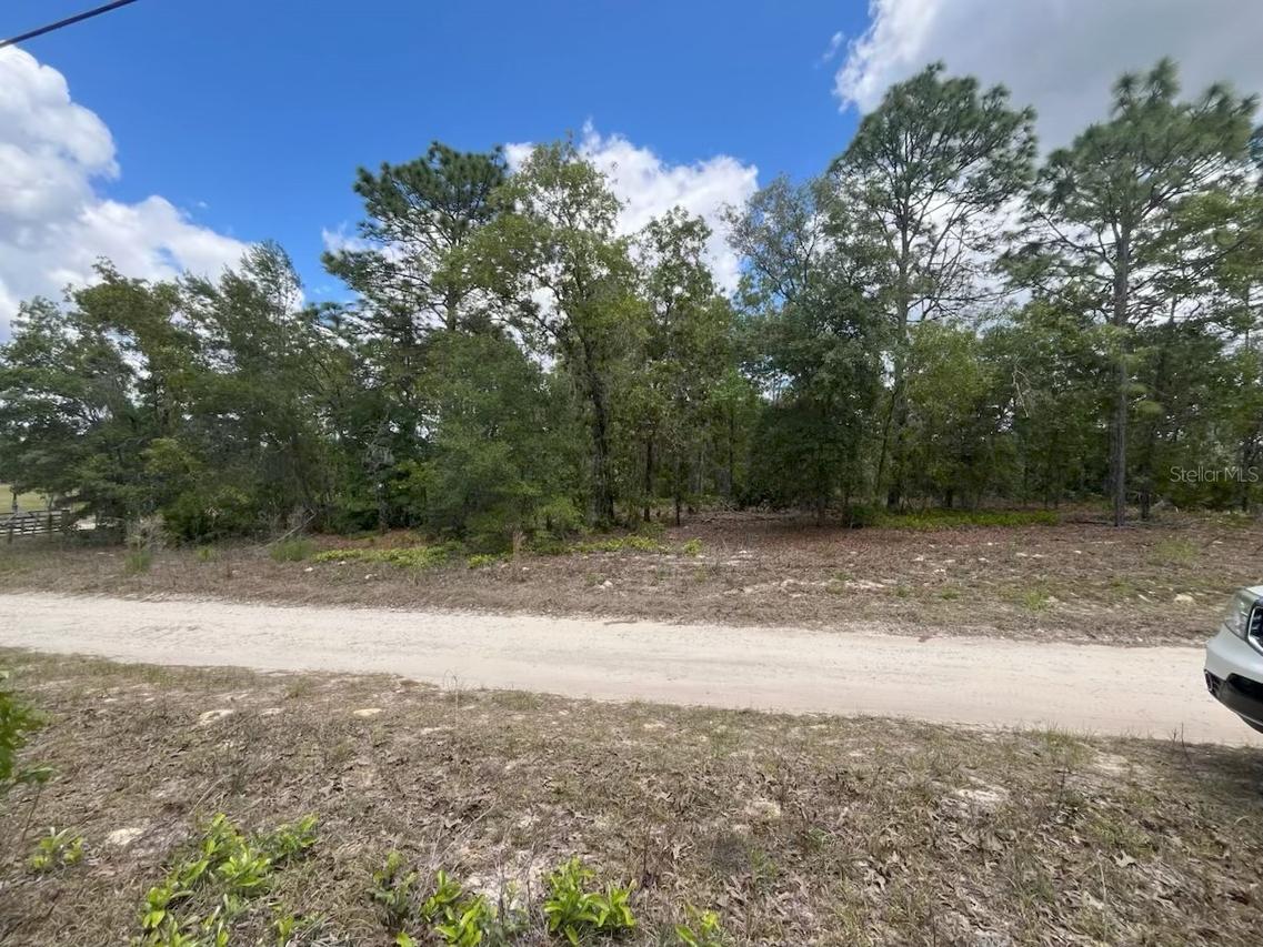 3726 W Spoon Wood Ct., Dunnellon, FL 34433