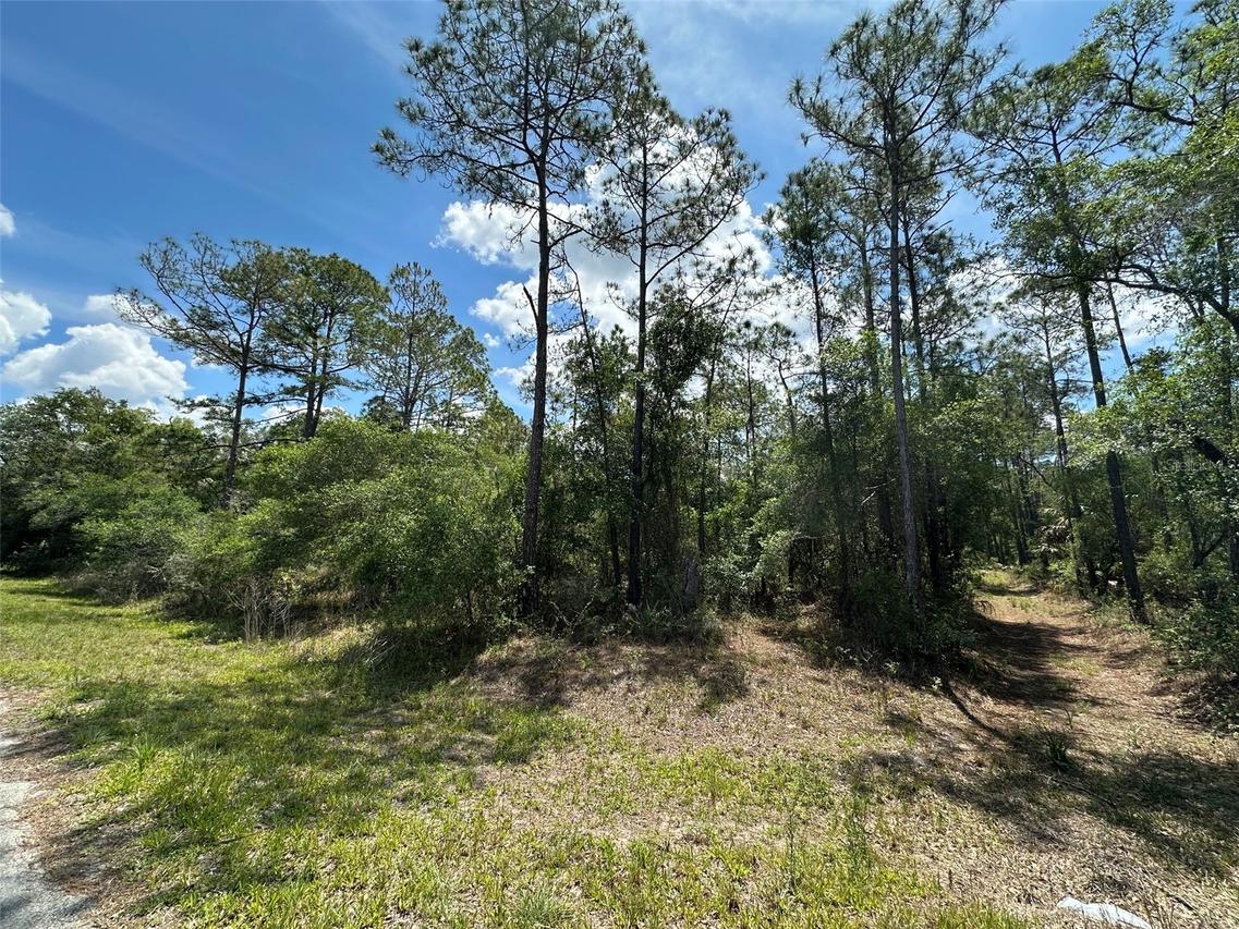 12184 W Arborvitae Pl., Crystal River, FL 34428