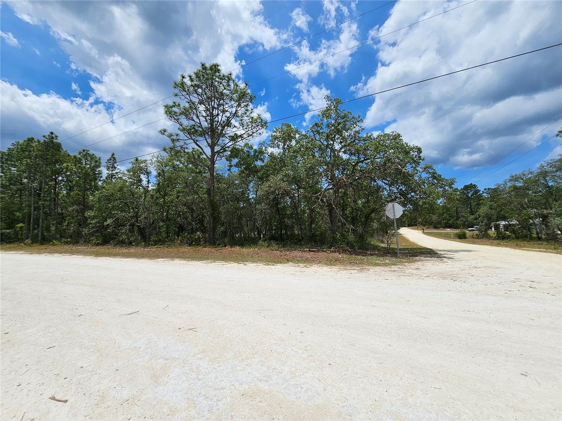 Song Sparrow Ave., Weeki Wachee, FL 34614