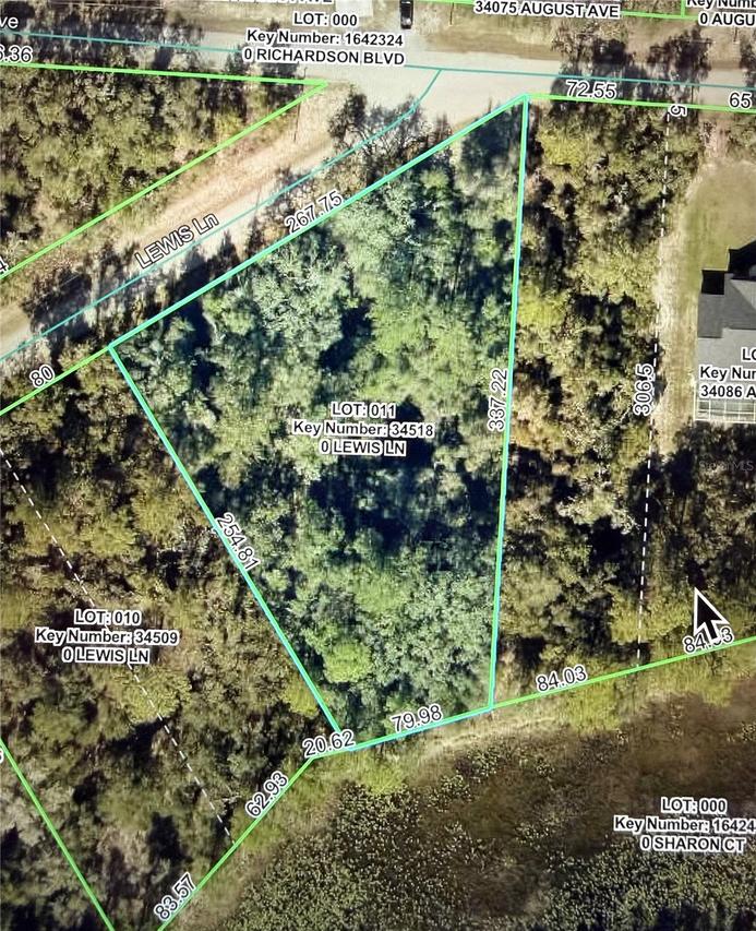 Lewis Ln., Webster, FL 33597