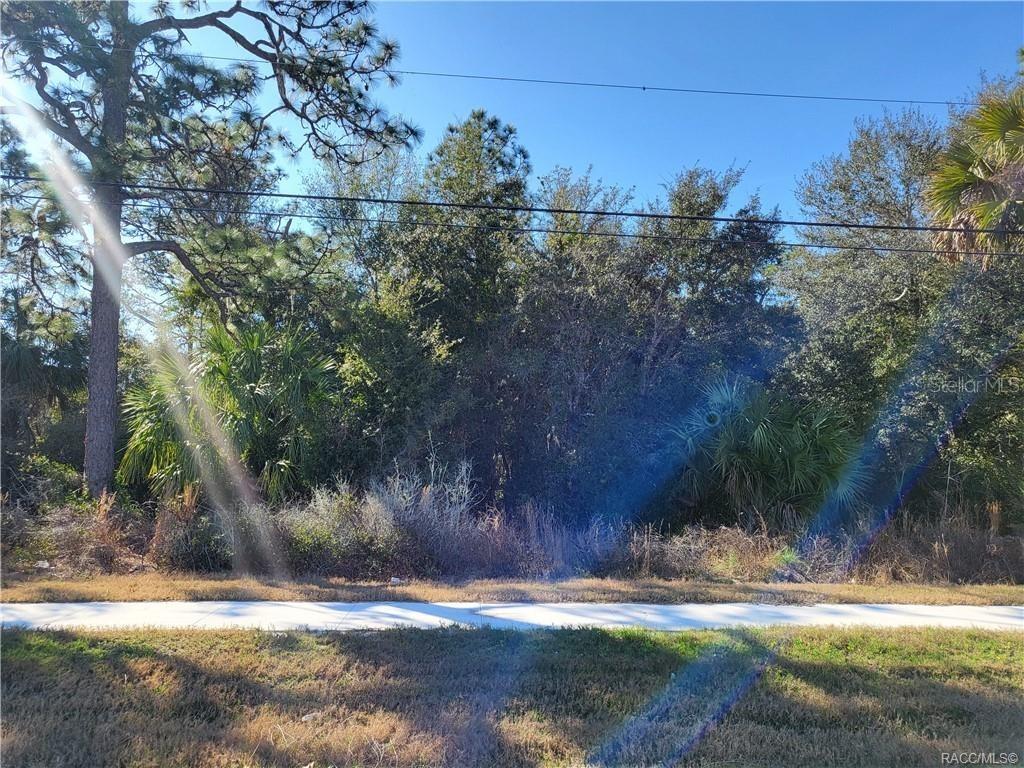 1224 S Suncoast Blvd., Homosassa, FL 34448