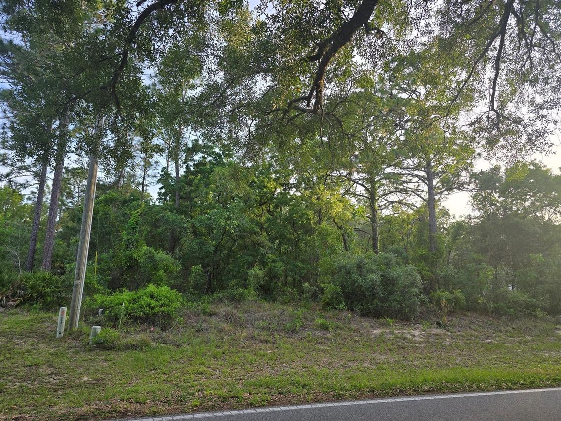 116 S Oak Village Blvd., Homosassa, FL 34446