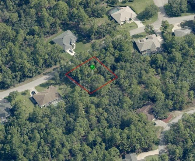 31 Saintpaulia St., Homosassa, FL 34446