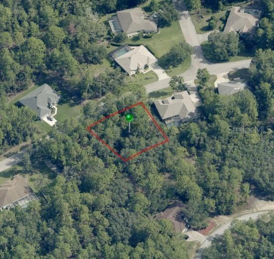 29 Saintpaulia St., Homosassa, FL 34446