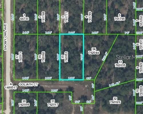 Goliath Ct., Weeki Wachee, FL 34614