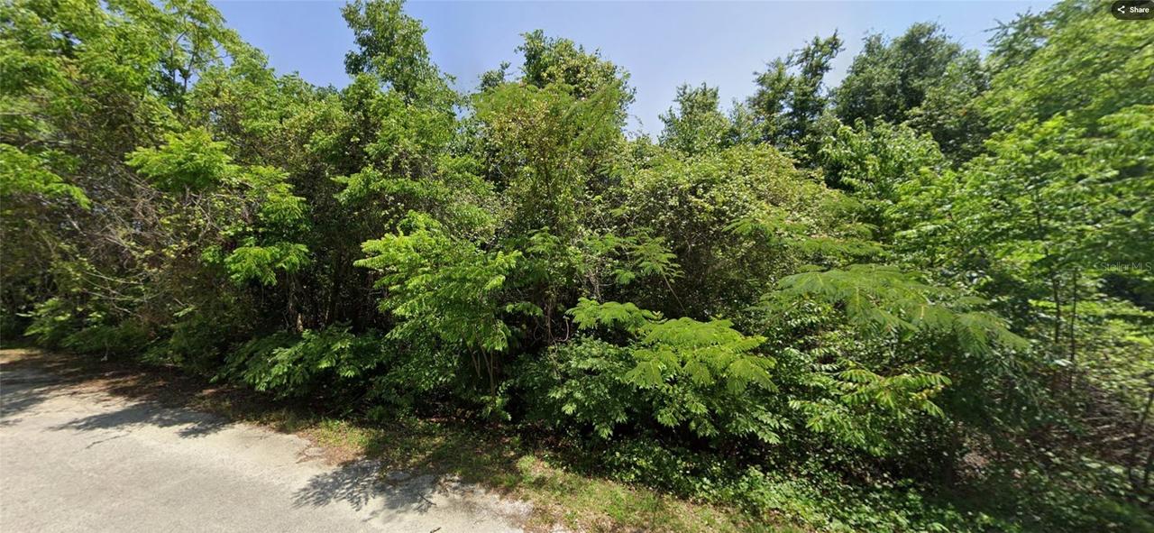 19 SE 146 Ln., Summerfield, FL 34491