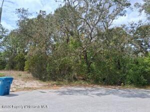 9159 Liberator Ct., Spring Hill, FL 34608