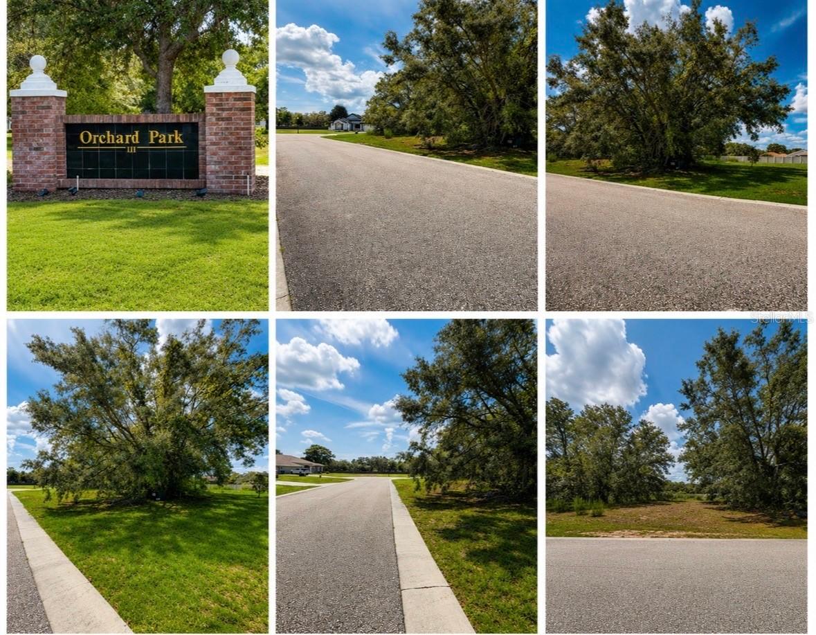 9925 Reindeer Ct., Spring Hill, FL 34608