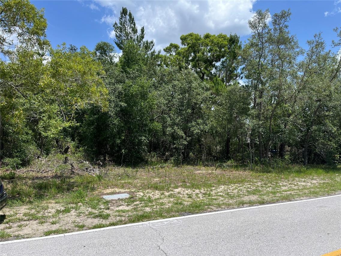 Pinehurst Dr., Spring Hill, FL 34606