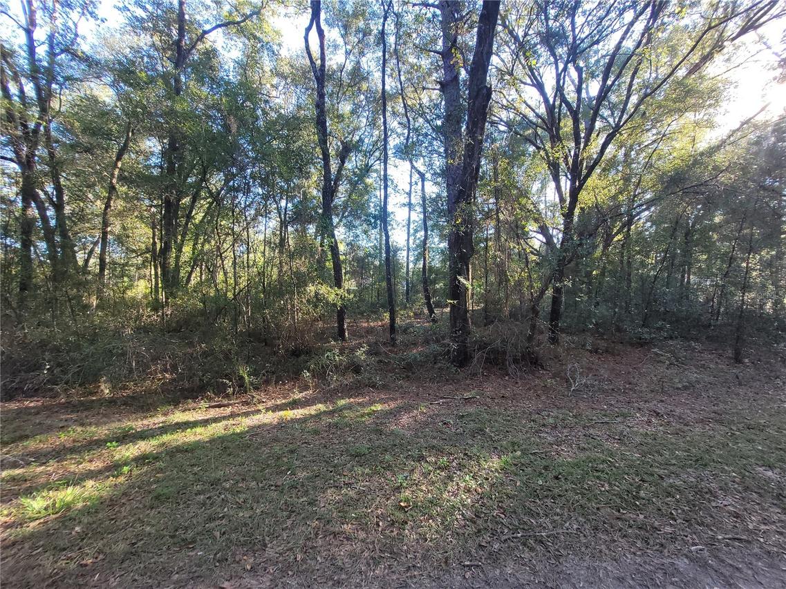 SW 22nd Pl., Ocala, FL 34481