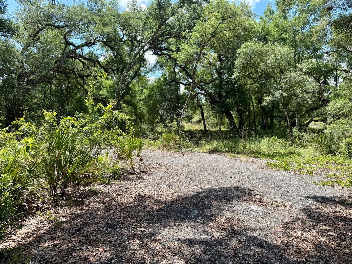 Long Cir., Webster, FL 33597