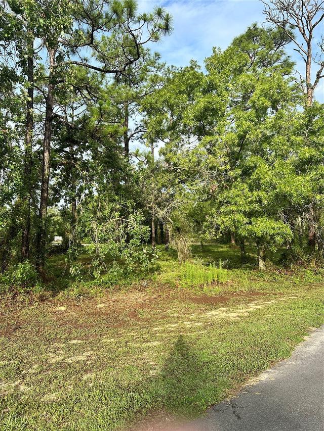 2 Barkwood Point, Homosassa, FL 34446