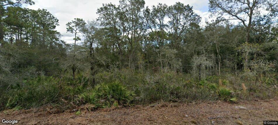 35023 Primrose Ln., Webster, FL 33597