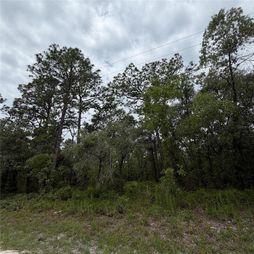 18011 Nutcracker Rd., Weeki Wachee, FL 34614