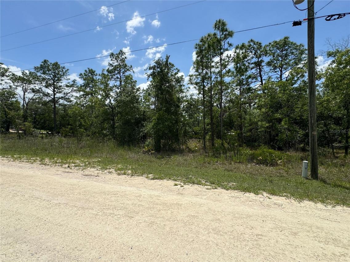Scaup Duck Ave., Weeki Wachee, FL 34614