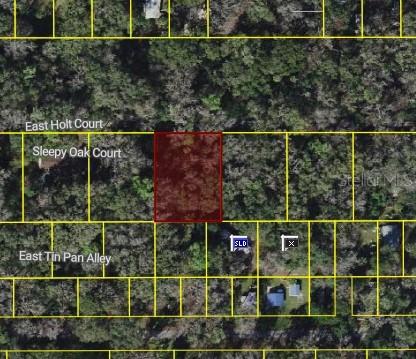 9346 E Sleepy Oak Ct., Inverness, FL 34453