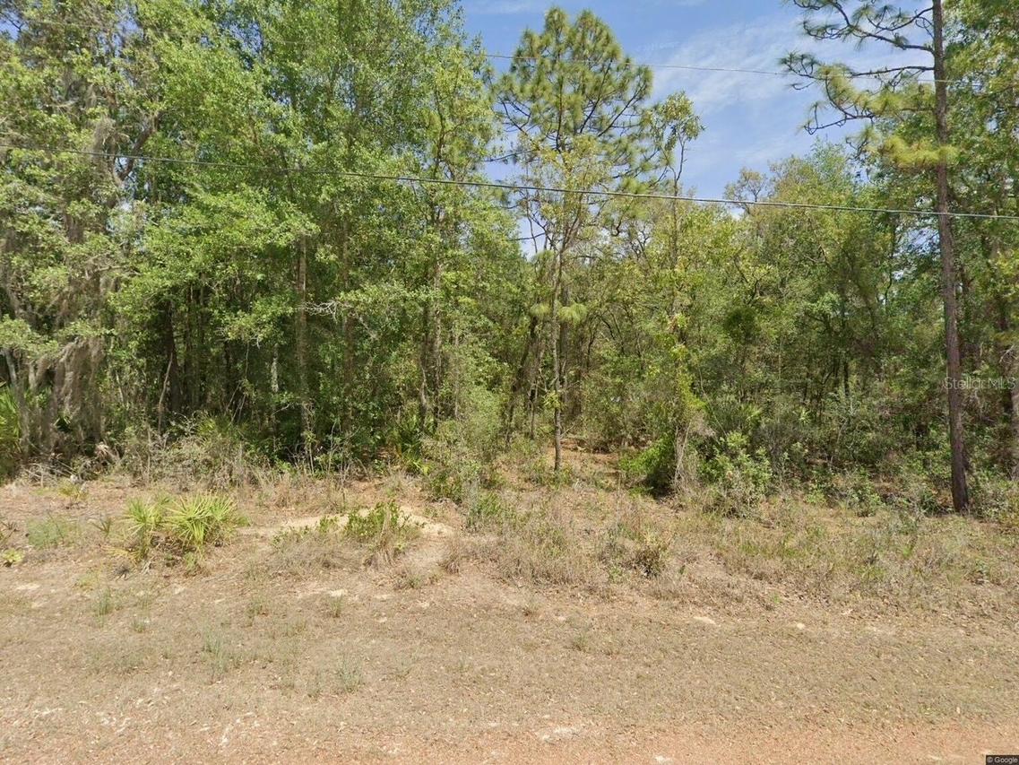 6575 W Pershing Dr., Homosassa, FL 34448