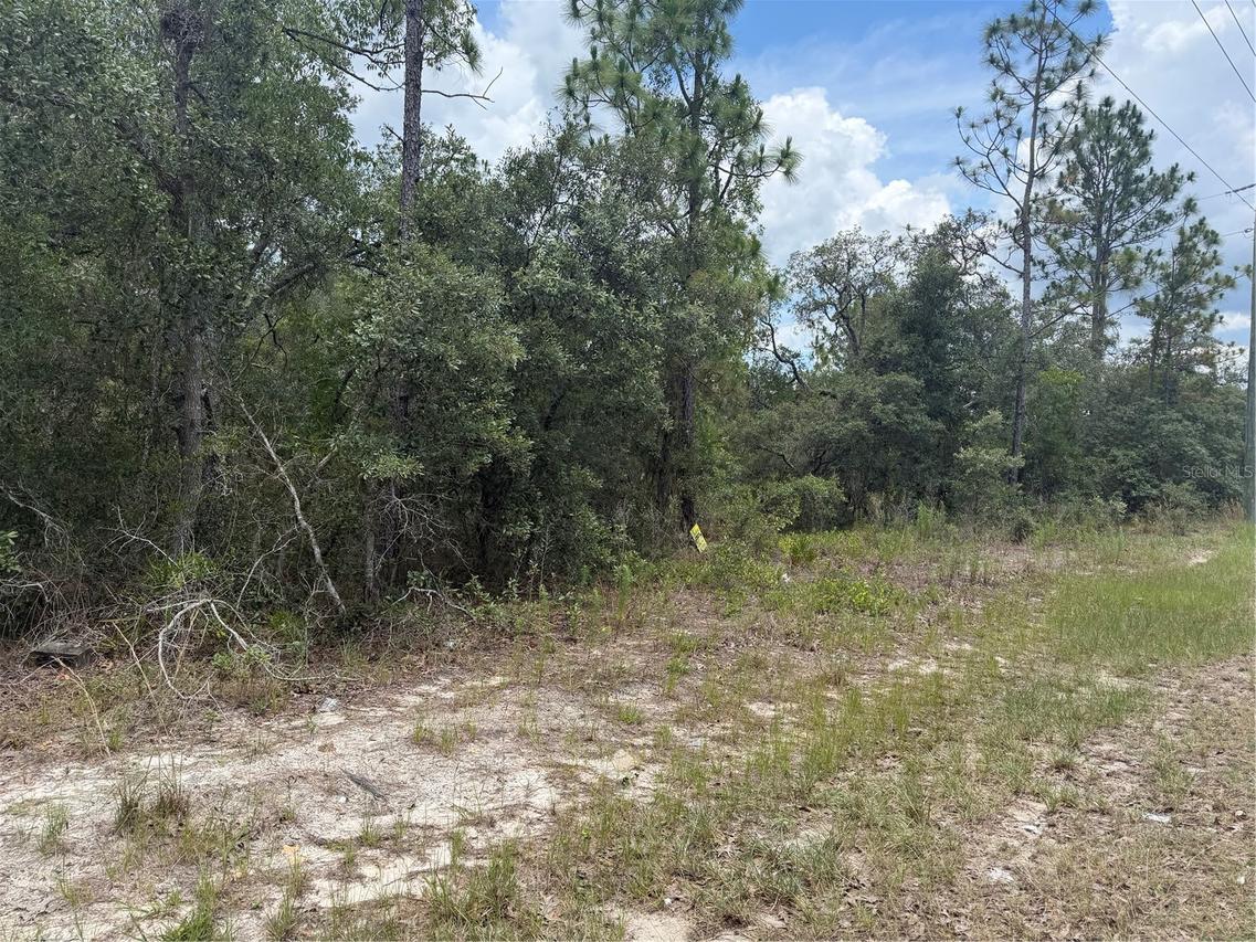 6215 S Premiere Ave., Homosassa, FL 34446