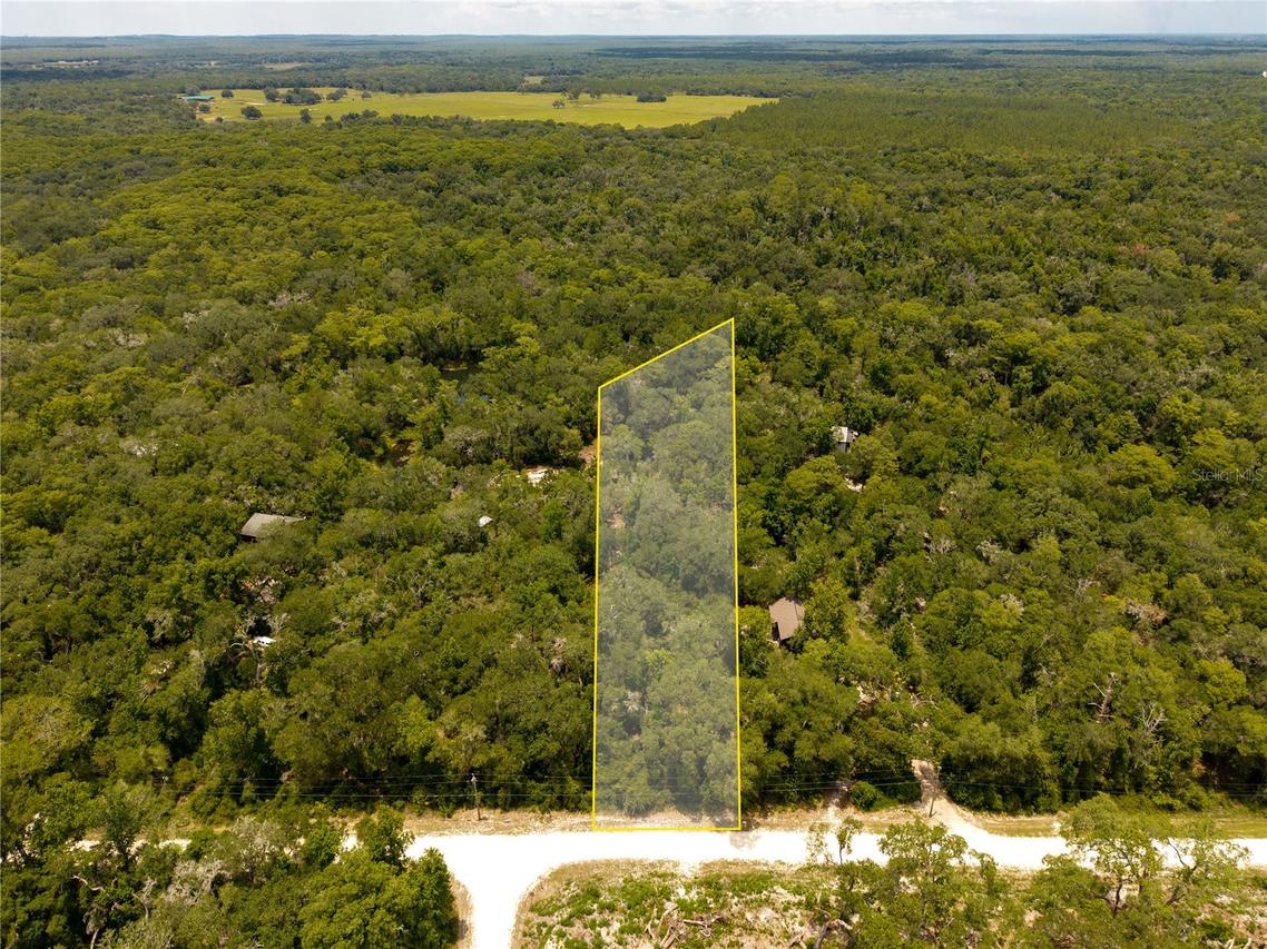 7337 Riverview Dr., Webster, FL 33597