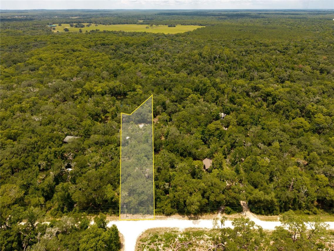 7333 Riverview Dr., Webster, FL 33597
