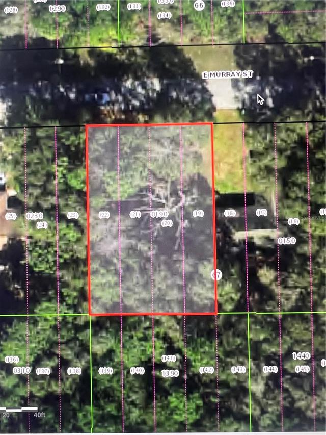 3404 E Murray St., Inverness, FL 34453