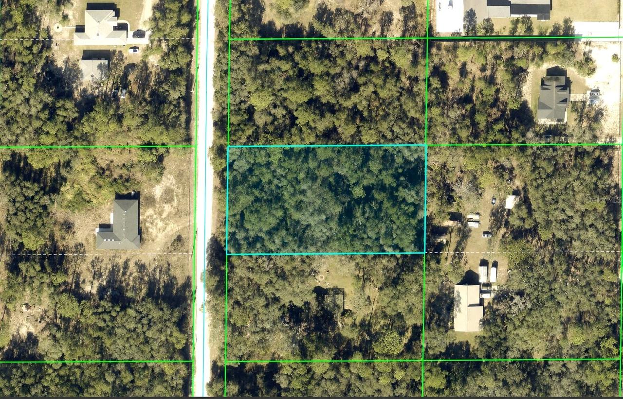 Alloy St., Webster, FL 33597