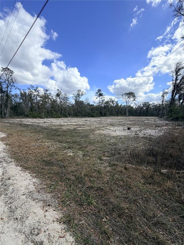 163 NE 159th Ave., Old Town, FL 32680