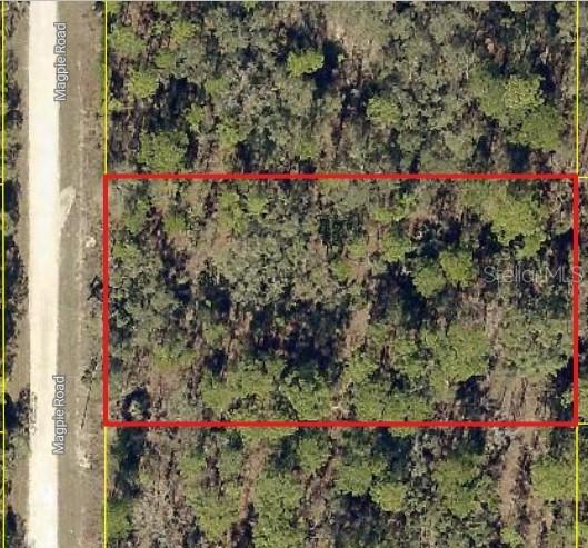 16026 Magpie Rd., Weeki Wachee, FL 34614