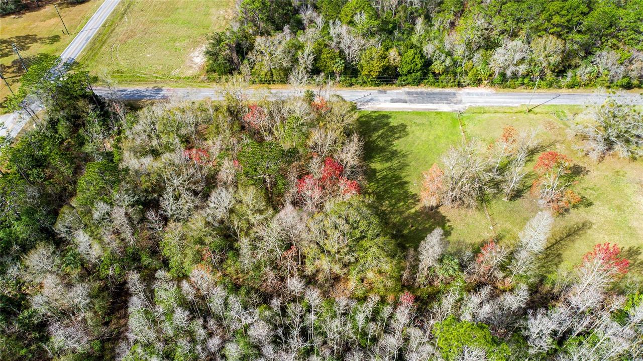 4925 S Morningside Ter., Homosassa, FL 34446