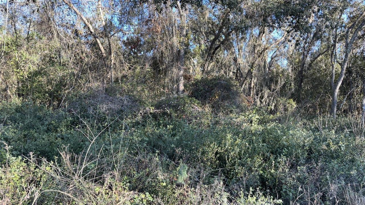 Bounty/barrett, New Port Richey, FL 34654
