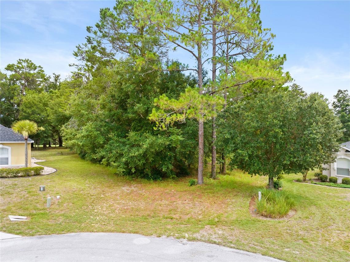 17 Woodlee Ct., Homosassa, FL 34446