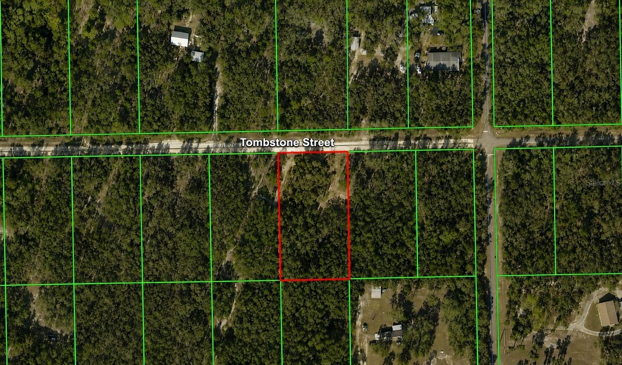 33240 Tombstone St., Webster, FL 33597