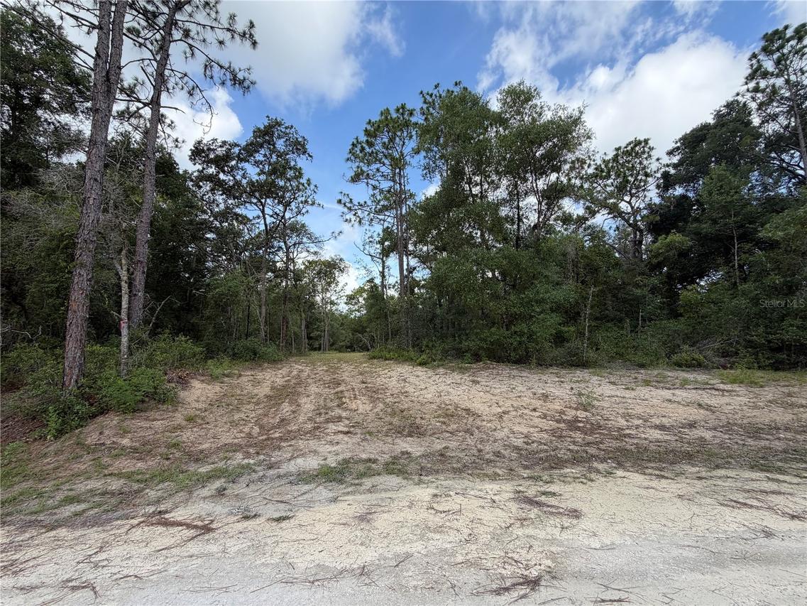 7319 Idlewood Dr., Webster, FL 33597