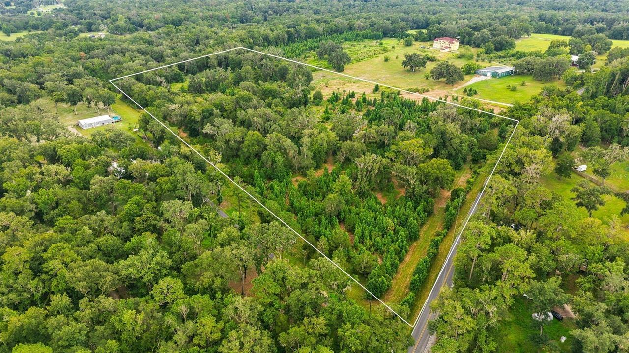 Cedar Ln., Brooksville, FL 34601