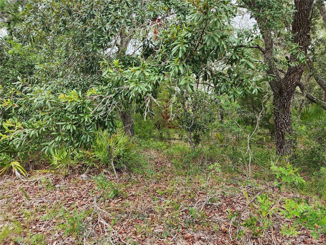 18364 Parakeet Rd. #Lot #25, Brooksville, FL 34614