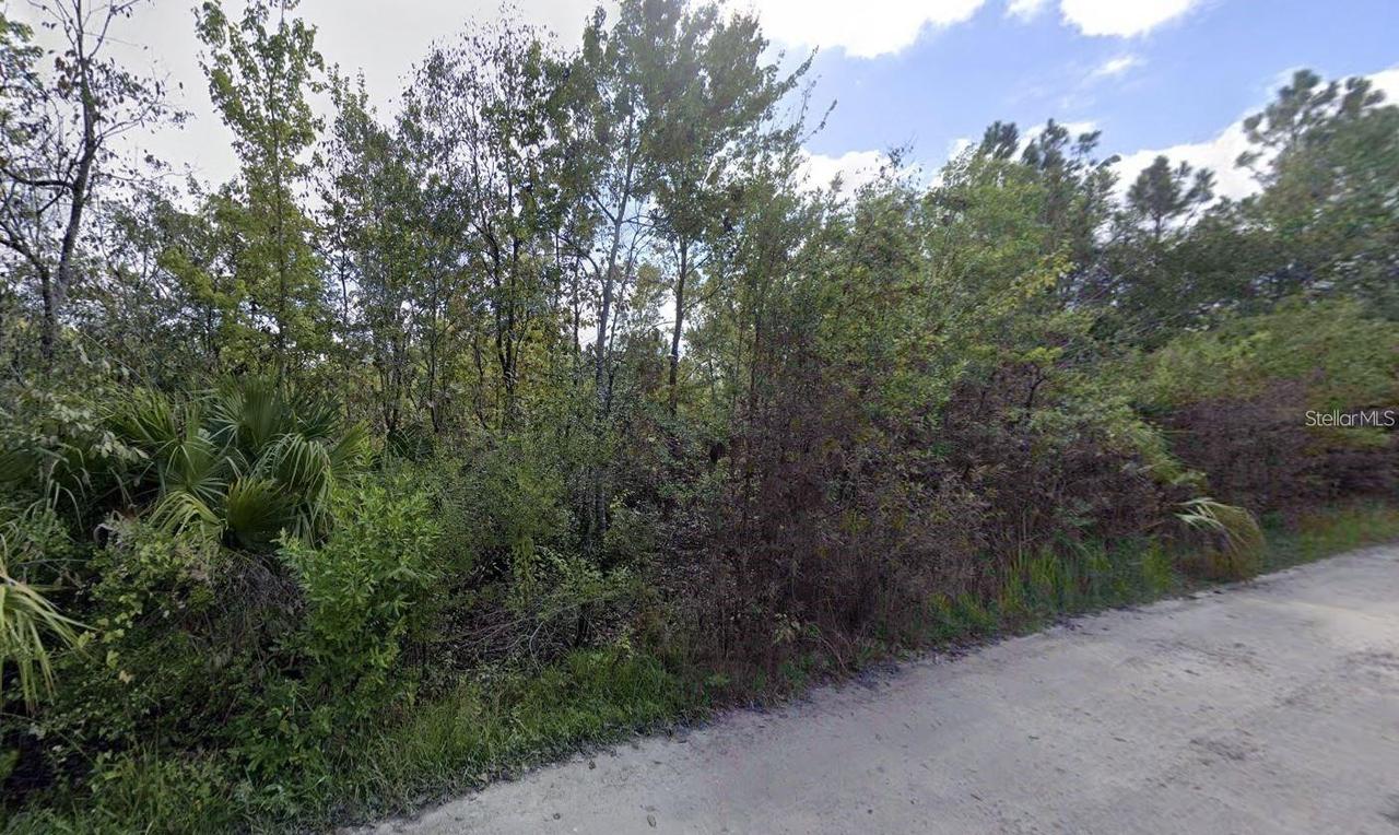 Powell St., New Port Richey, FL 34654