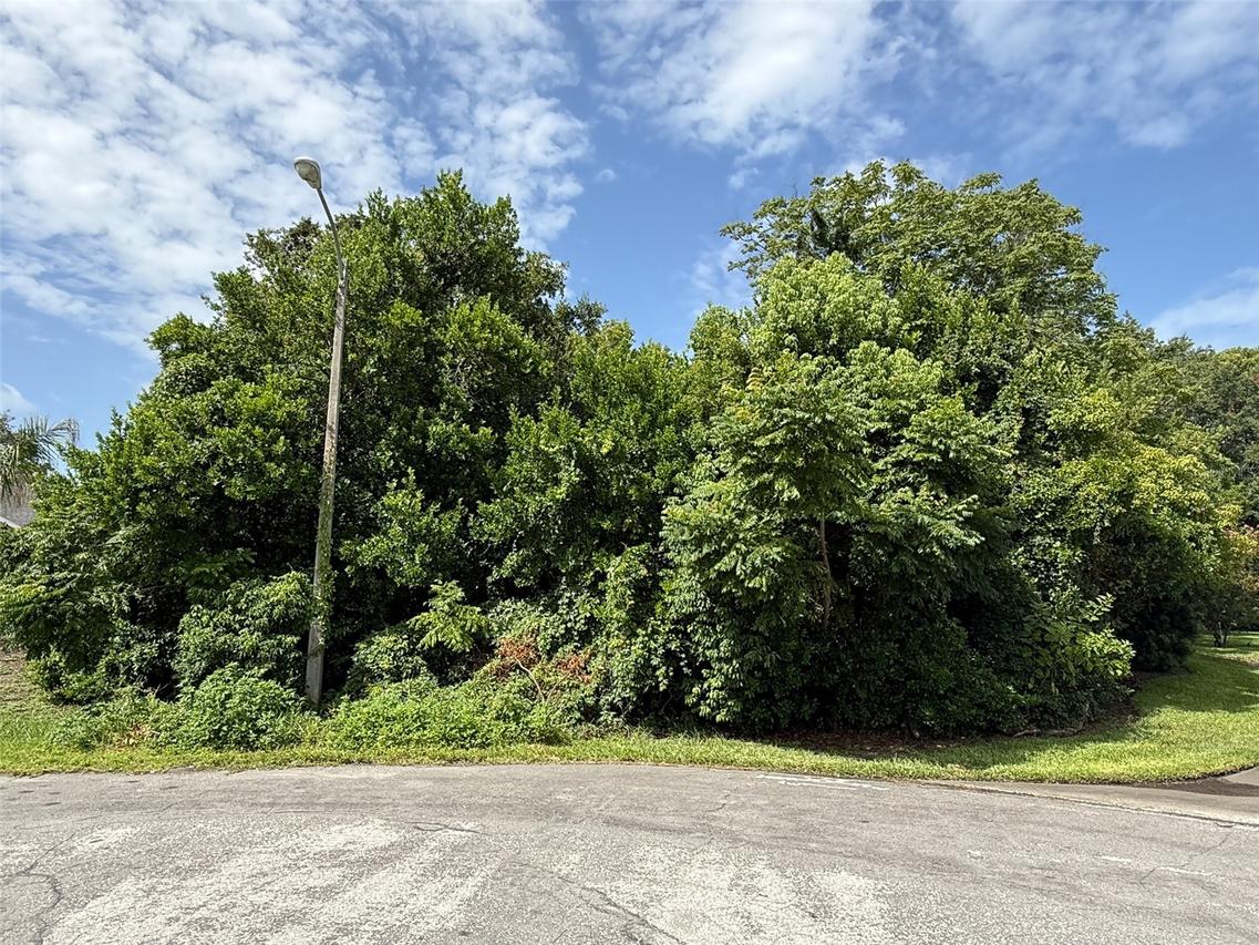 1453 Brigadier Dr., Spring Hill, FL 34608