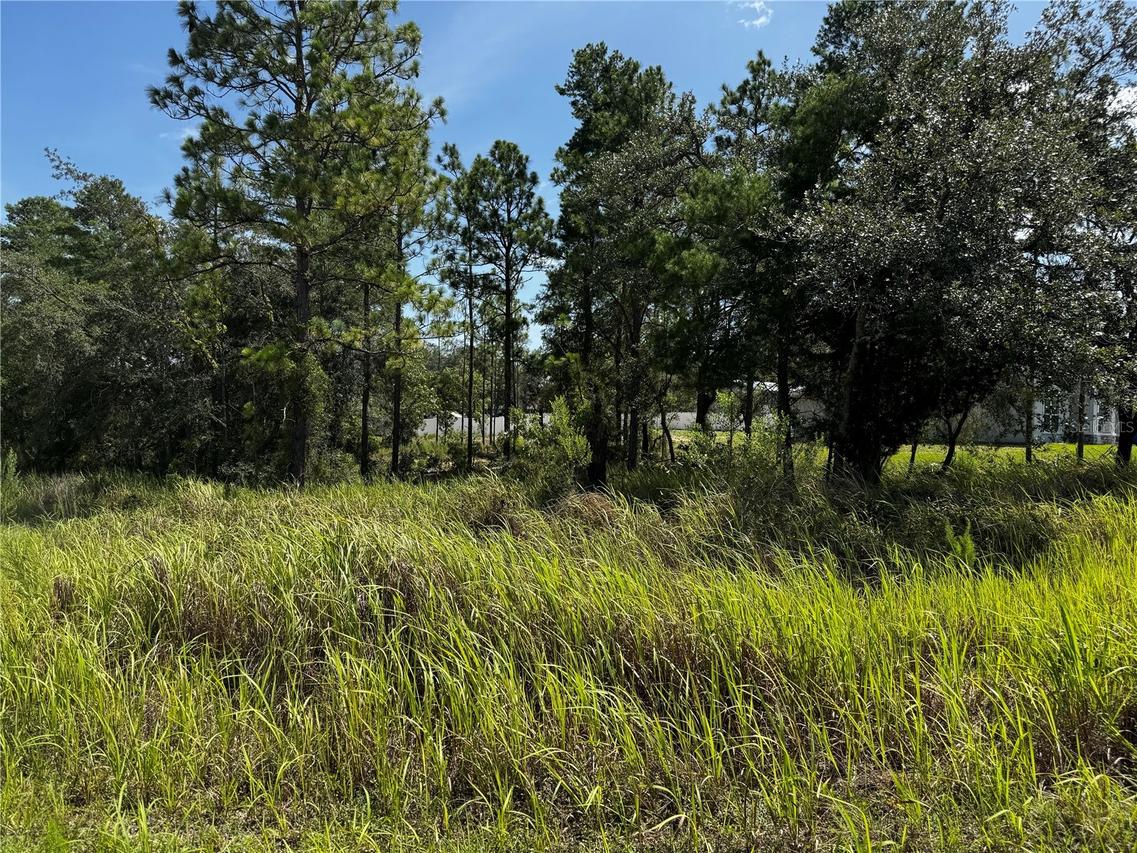 Lot 14 Barnevelde Road, Weeki Wachee, FL 34614