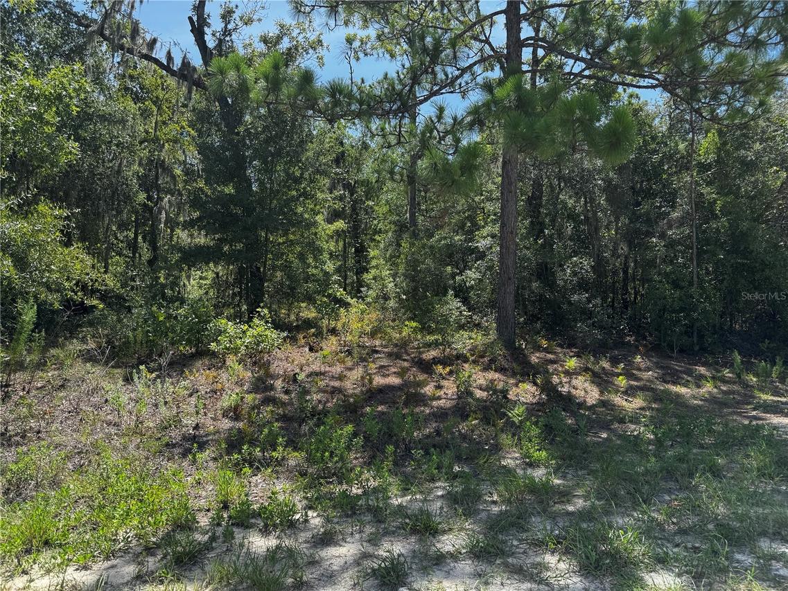 Crider Rd. #3, Weeki Wachee, FL 34614