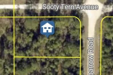 Sooty Tern Ave., Weeki Wachee, FL 34614