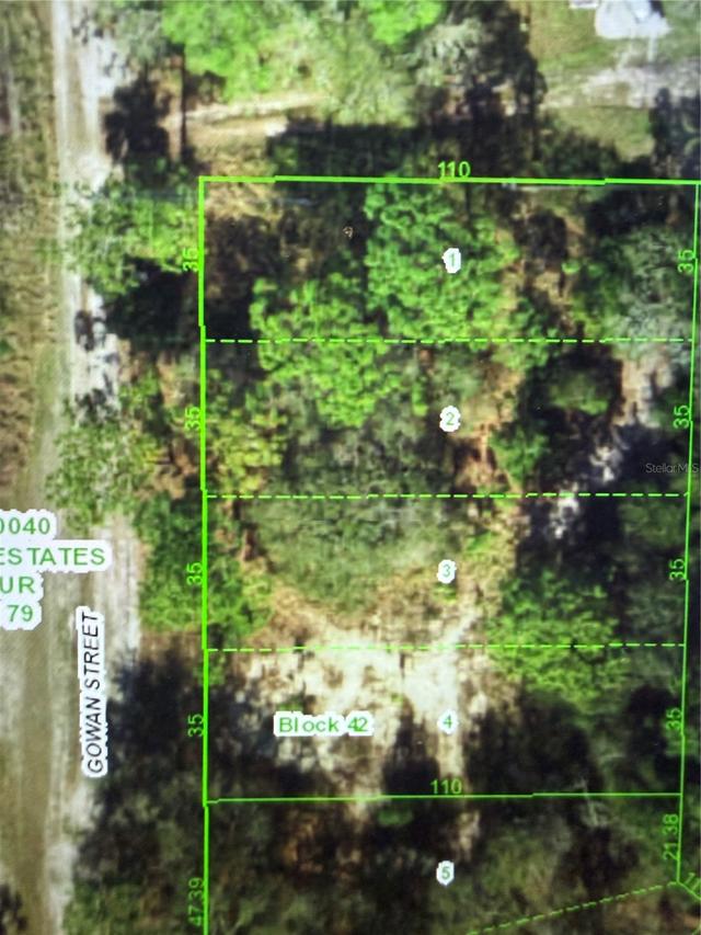11142 Gowan St., New Port Richey, FL 34654