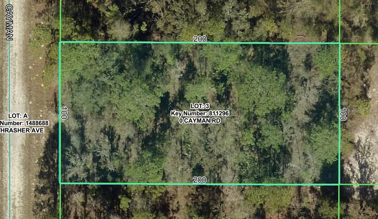 16464 Cayman Rd., Brooksville, FL 34614