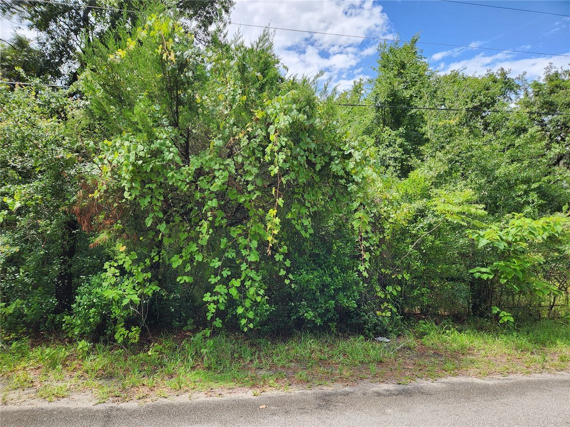 00 Oak Dr. #Tract 25, Hudson, FL 34669