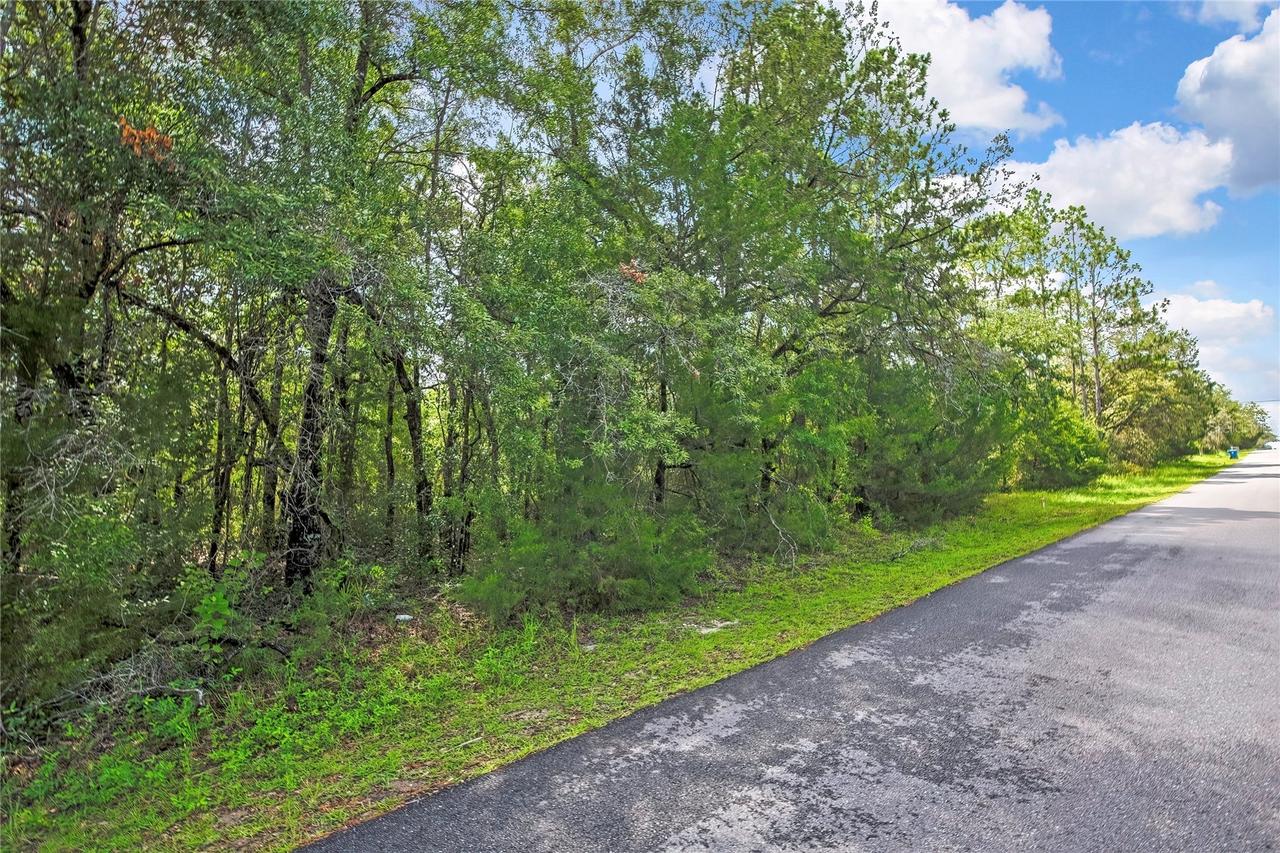 English Sparrow Rd., Weeki Wachee, FL 34614